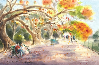 Blossom in Bangalore