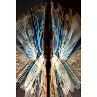 Biblio Blue Angel (Artist proof)