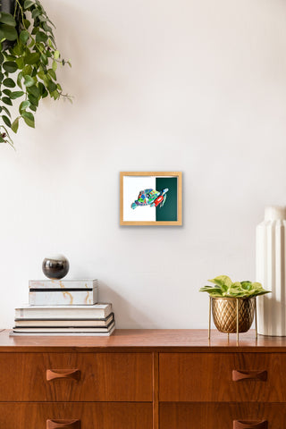 Turtle - Framed