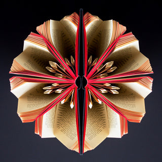 Hibiscus Libris