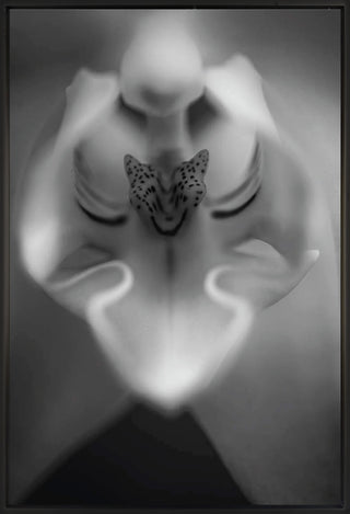 Untitled 2 - Framed