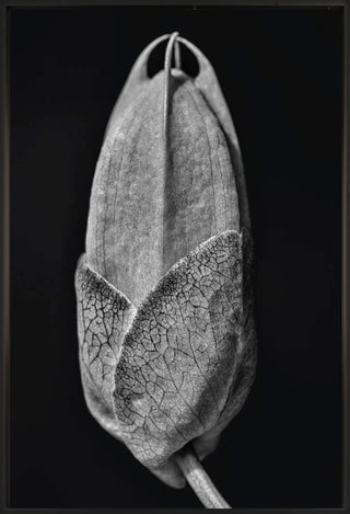 Untitled 55 - Framed