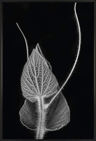 Untitled 48 - Framed