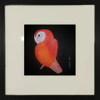 Glancing Owl