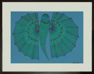 Flying Gurnard