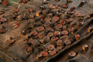 Connected Memories - Framed