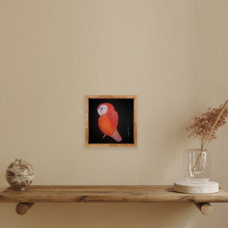 Glancing Owl