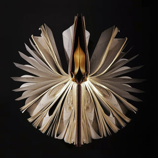 Biblio White Lotus