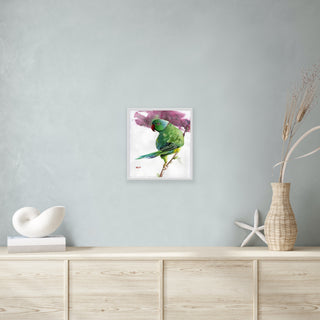Rose-Ringed Parakeet