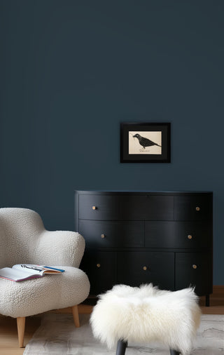 Crow - Framed
