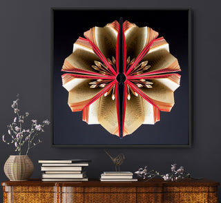 Hibiscus Libris
