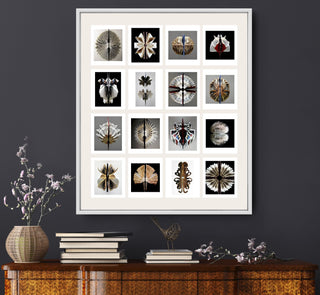A Collection of Biblioblooms and Bibliopods