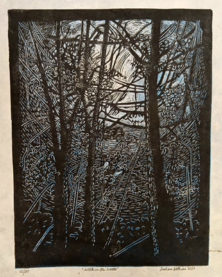 A Walk in the Woods