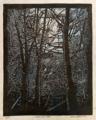 A Walk in the Woods