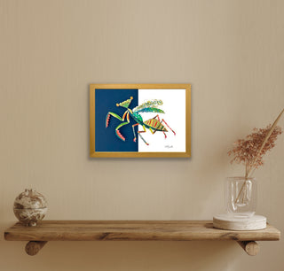 Praying Mantis - Framed