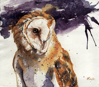 Barn Owl (Framed)