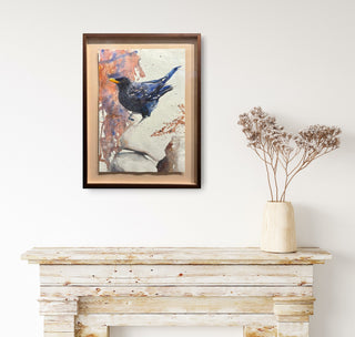 Blue Whistling Thrush (Framed)