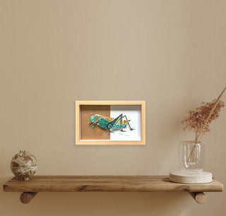 Grasshopper - Framed