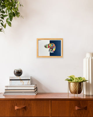 Chameleon - Framed