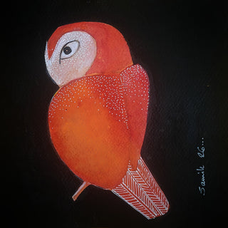 Glancing Owl