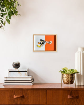 Hornbill - Framed