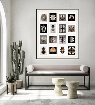 A Collection of Biblioblooms and Bibliopods