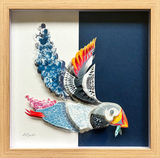 Puffin - Framed