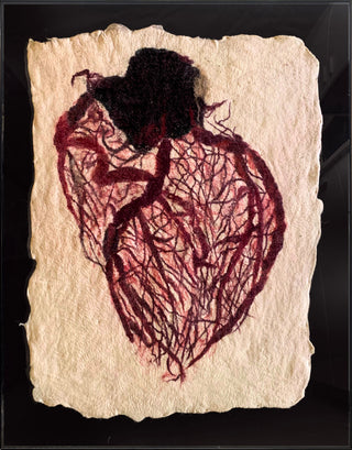 Dissections - Heart (Framed)