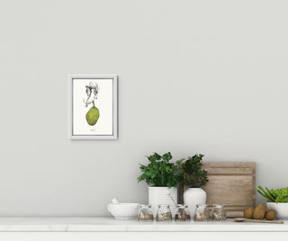 Jackfruit