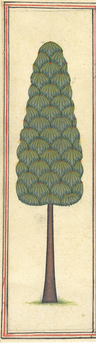Long Tree, Miniature 6