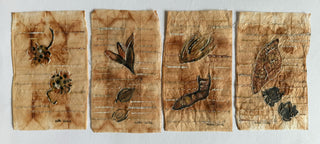 Nature Journal - Framed