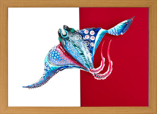 Manta Ray - Framed