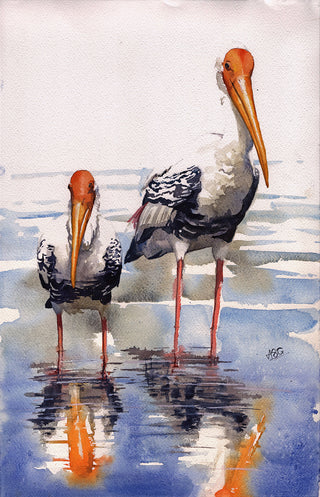 Painted Storks