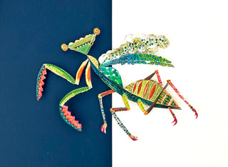 Praying Mantis - Framed