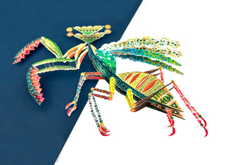 Praying Mantis - Framed