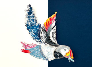 Puffin - Framed