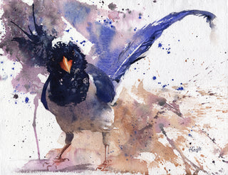 Red-Billed Blue Magpie (Framed)