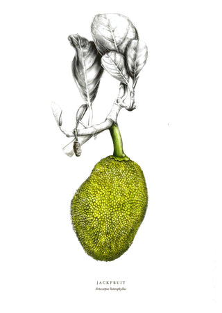 Jackfruit