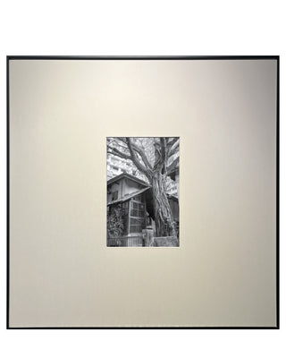 Protector - Framed