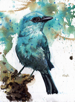 Verditer Flycatcher