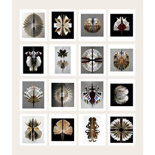 A Collection of Biblioblooms and Bibliopods