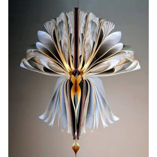 Angel Orchid Liber