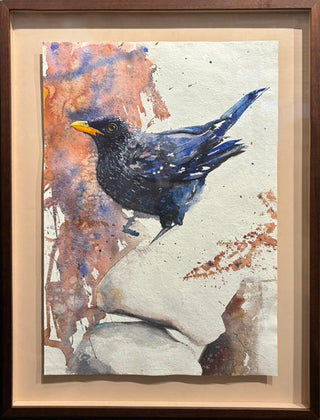 Blue Whistling Thrush (Framed)