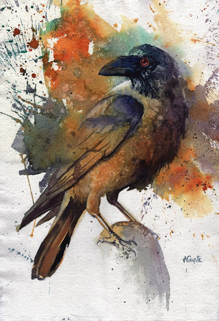 House Crow 2