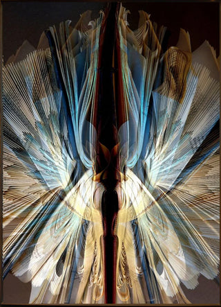 Biblio Blue Angel (Artist proof) - Framed