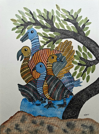 Family Of Birds