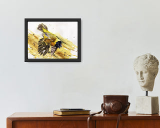Black-Headed Weaver