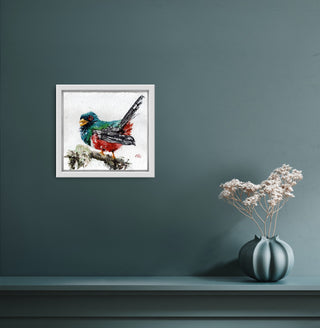 Masked Trogon