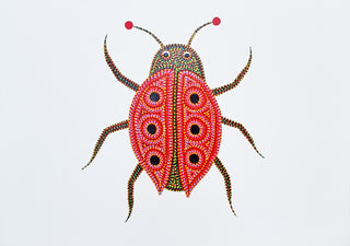 Beetle