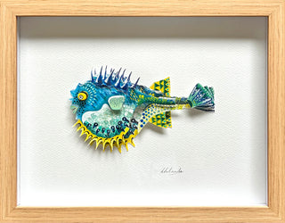 Puffer Fish - Framed